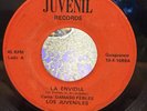 LOS JUVENILES - La Envidia / OBSCURE GUAGUANCO PUERTO RICO 45 private Salsa rare