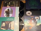 Nick Drake Fruit Tree Vinyl Record Box Set PLUS A Treasury LP (hits)
