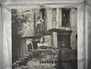 George Brigman Jungle Rot 12