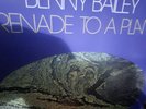 BENNY BAILEY  ECM LP