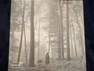 Taylor Swift - Folklore - “In The Trees” 2020 Made In France *SEALED*