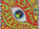 The 13th Floor Elevators  Psych Mono LP US 1967 pressing