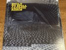 BUILT TO SPILL Caustic Resin 10” VINYL EP Indie Rock NEW Sealed