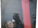 LEON WARE INSIDE LOVE. MODERN SOUL  WHAT'S YOUR NAME  LP