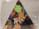 Modest Mouse ‎– Poison The Well / I'm Still Here RSD Triangle-Shaped 7