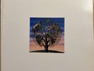 Talk Talk Laughing Stock Vinyl Album LP Original Pressing