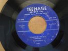 Montereys - Someone Like You / Train Whistle Blues RARE  original TEENAGE label