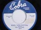 R&B Doo Wop 45 CALVAES Born With Rhythm COBRA HEAR n