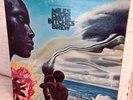 2LPs: Miles Davis,  Bitches Brew, Columbia PG 26, Reissue, Stereo, 1975, Fusion
