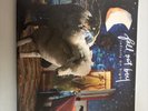 Fall Out Boy Infinity On High Vinyl 2xLP Hot Topic Clear Blue White Splatter