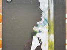Paul Weller - Wild Wood (remastered) - gatefold heavyweight vinyl LP + poster