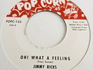 Jimmy Ricks - Oh   What A Feeling - Popcorn 45