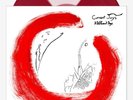 SEALED Current Joys – A Different Age RED VINYL surf curse alex g salvia palth
