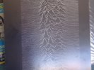 Warsaw (Joy Division) - Early Sessions - White Vinyl Version Ex Condition