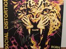 MIKE NESS SIGNED SOCIAL DISTORTION BORN TO KILL LP  VINYL 5/14 ROUGH TRADE +PIC