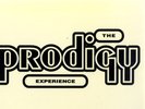 The Prodigy Experience Double LP 2LP Vinyl Gatefold Sealed 12