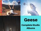 Geese Complete Studio Albums 3 x Vinyl LP Getting Killed, Projector, 3D Country