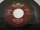 Rare Surf 45   The Riptides 