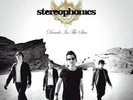 DECADE IN THE SUN BESTOFSTEREOPHONICS HW ED VINYL