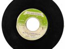 FE-ME-TIME/BLACK CINDERELLA - ERROL DUNKLEY (72 REGGAE ROCKERS 7