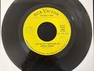 Beverly Ann - Rare Late 60s 45 on RCA (Clips Included)