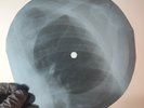 LED ZEPPELIN WHAT IS AND WHAT S X-Ray USSR Record Roentgen Bone Ribs Music Vinyl