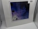 Slipknot Look Outside Your Window Silver Nugget Vinyl /500 LP Revolver Exclusive