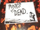 The Exploited Punks Not Dead 1981 Secret Vinyl Record LP