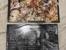 Carcass - Reek Of Putrefaction ( In Shrink With Inner Purple Color Vinyl Record)