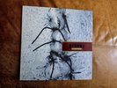 Scheer. Infliction. Original Vinyl LP. 4AD. Mint/Ex.