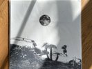 RARE Hot Dreams Vinyl by Timber Timbre (Record, 2014)