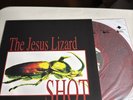 The Jesus Lizard - Shot Vinyl Fire Orange W/ Black Of 2500 RSD Played Once