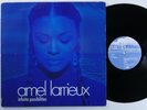AMEL LARRIEUX Inifinite Possibilities EPIC/550 MUSIC 2XLP VG+ i