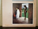 PENGUIN CAFE ORCHESTRA - 1981 - Editions Eg - NM/VG+