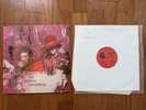 The Moving Sidewalks Flash 1968 Tantara LP Rare Psych Billy Gibbons