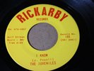 THE JUVENILES, RICKARBY LABEL #103 RARE 45 RECORD