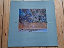 Dif Juz Extractions  LP  4AD  Indie Post punk Ethereal