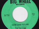 FALCONS Good Good Feeling  northern soul 45 STUNNING COND Love You HEAR