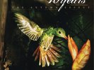 Autumn Effect (Vinyl)