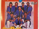 Grupo Pegasso - Vol. 7 Amor Fingido (1 x LP, Vinyl, 1987 MX, VG)