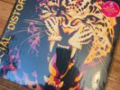 Social Distortion BORN TO KILL LP Indie CA Gibson Gold Edition