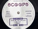 Vibronics – Dub In The Valley / History Dub - 10