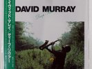 DAVID MURRAY DEEP RIVER DIW DIW8030 1LP