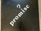 Promise 1980 Private Rare Colorado Power Pop