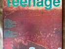 Teenage Fanclub - A Catholic Education - Gatefold Vinyl LP - 1st Pressing - 1990