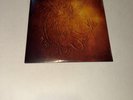 Hunger Games Olivia Rodrigo Can’t Catch Me Now 7” 45 RPM Vinyl Record *New