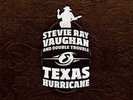 Stevie Ray Vaughan and Double Trouble TEXAS HURRICANE 200g 45rpm 12LP Box Set