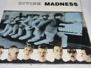 DIVINE MADNESS Double Vinyl LP  1992