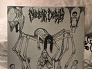Nuclear Death Bride Of Insect Vinyl Lp Death Metal Extreme Metal