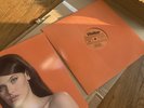 Sienna Spiro Visitor LP Blood Records Mahogany Melt Vinyl x/3000